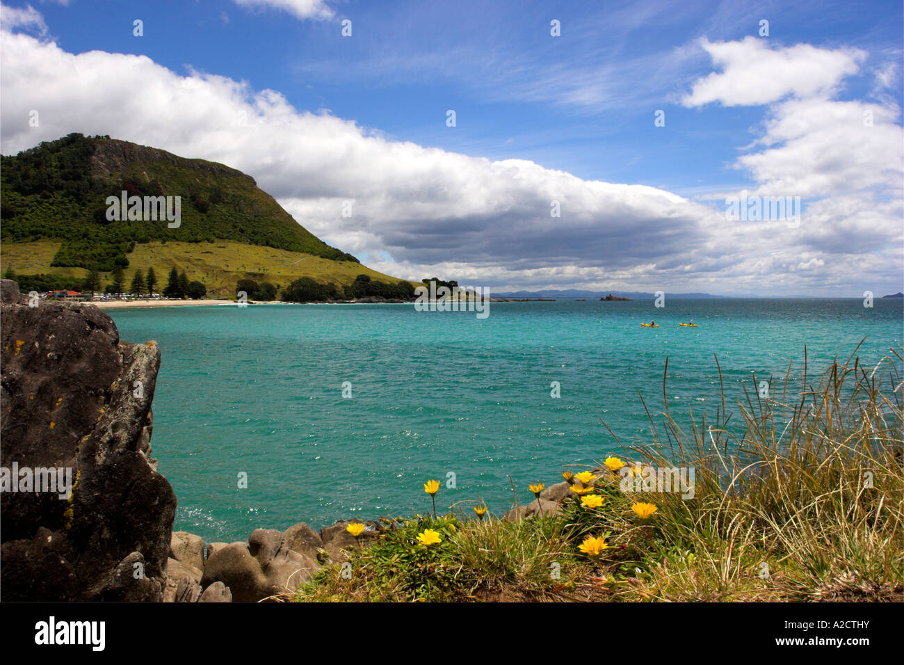 Mt. Maunganui, Tauranga, Bay of Plenty, North Island, New Zealand Stock ...