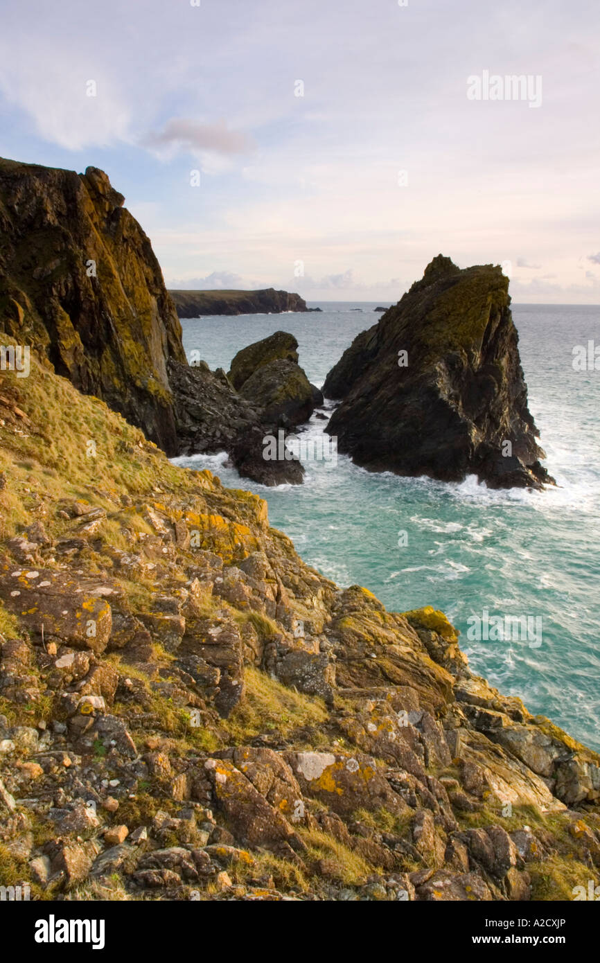 Rugged rocks and cliffs at Kynance Cove Cornwall UK Stock Photo - Alamy
