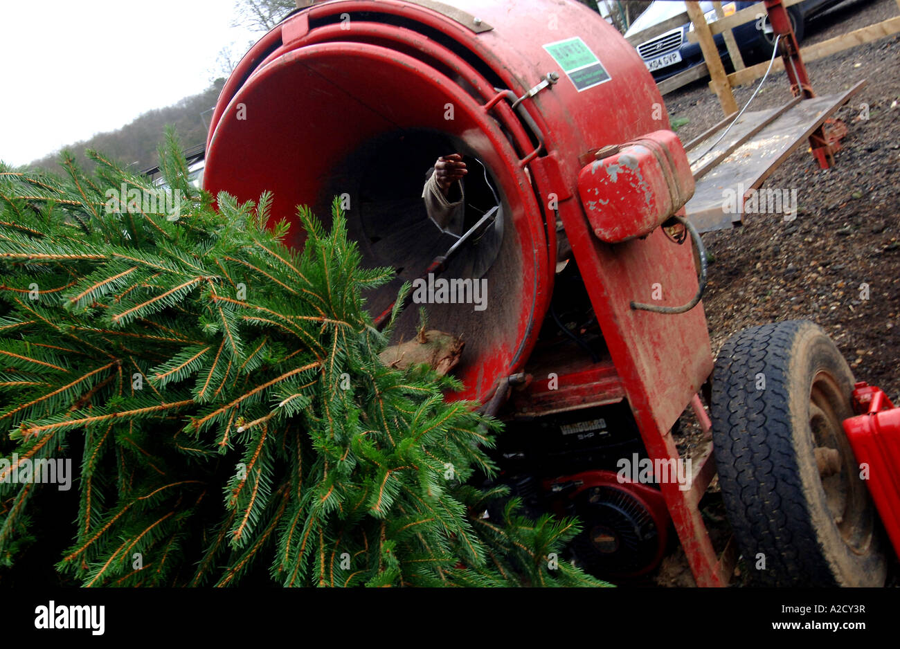 Chesham Christmas Tree Farm in Chesham a farmstyle village outside