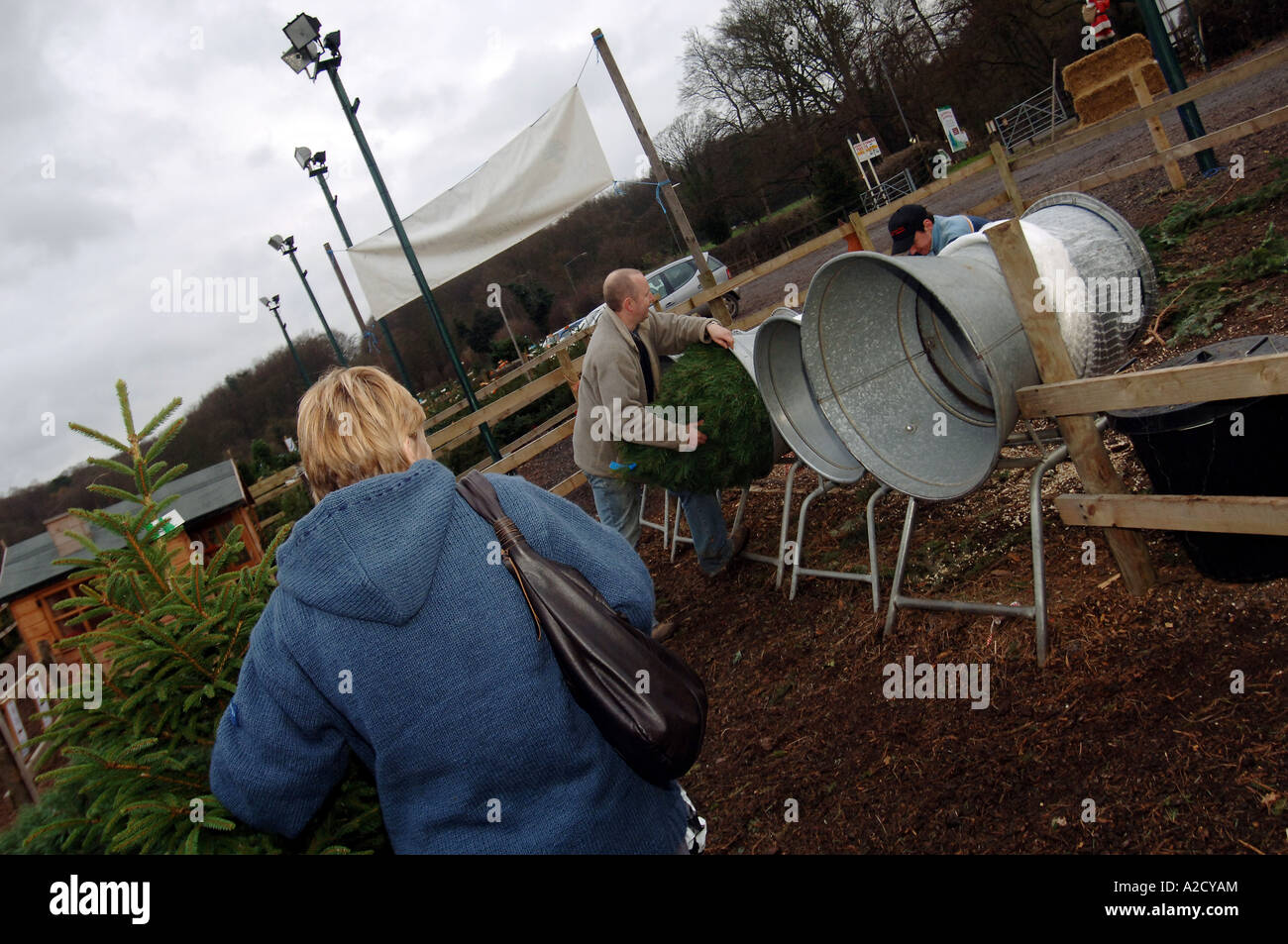 Chesham Christmas Tree Farm in Chesham a farmstyle village outside