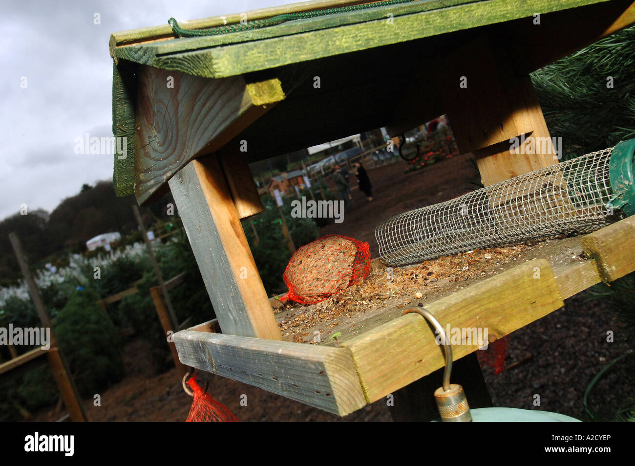 Chesham Christmas Tree Farm in Chesham a farmstyle village outside