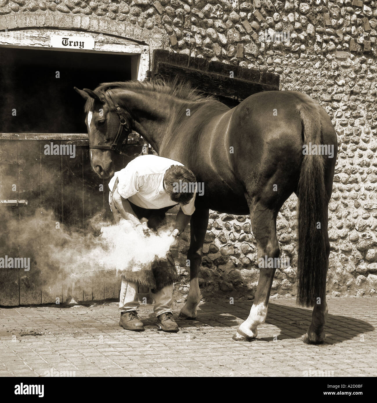 Farrier at work Stock Photo Alamy
