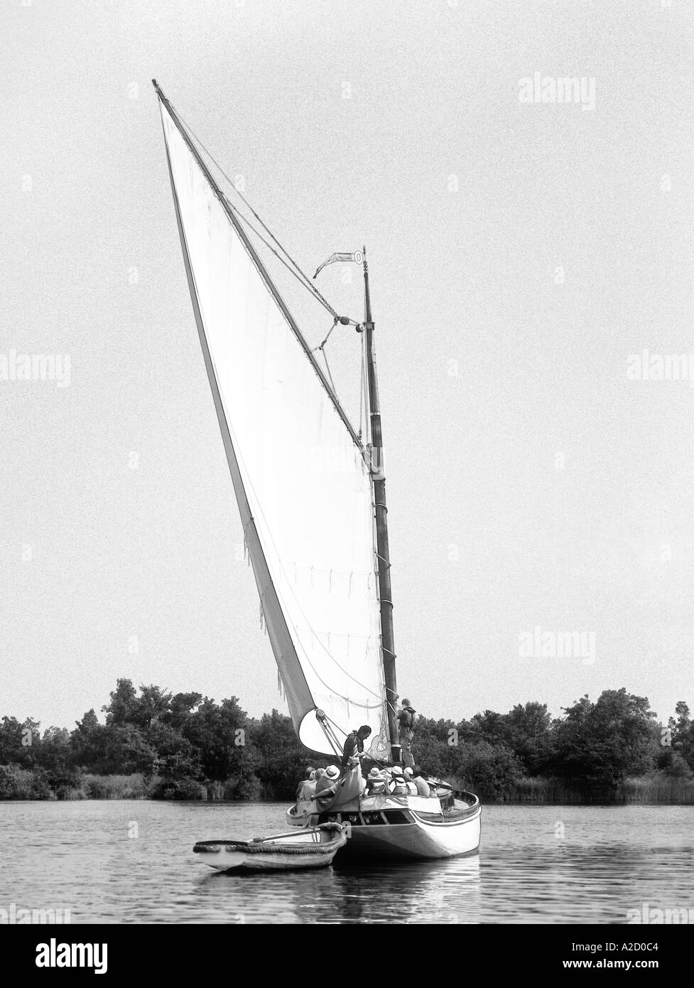 Wherry sailing on the Norfolk Broads in Norfolk England UK Stock Photo