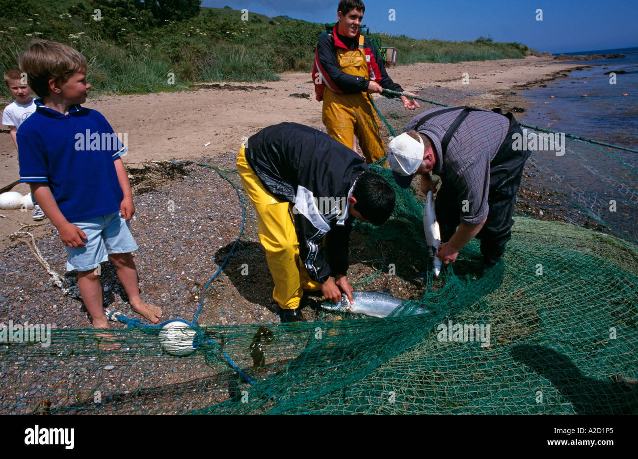 Salmon netting for Atlantic Salmon (Salmo salar) Rosemarkie, Ross & Cromarty, Highlands, Scotland, UK Stock Photo