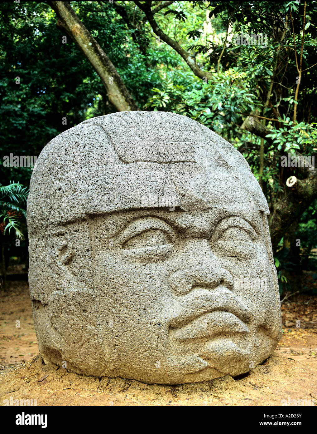 Olmec head La Venta Tabasco State Mexico Stock Photo Alamy
