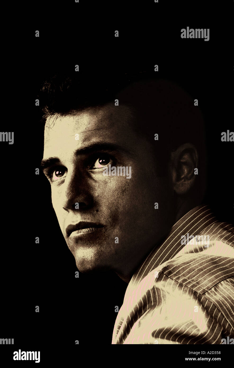 executive  Stock Photo