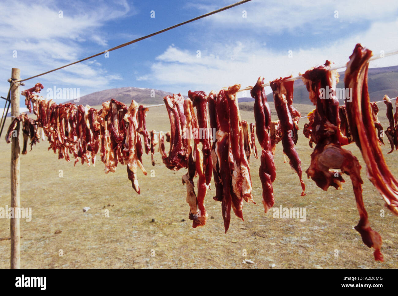 drying meat mongolia Stock Photo Alamy