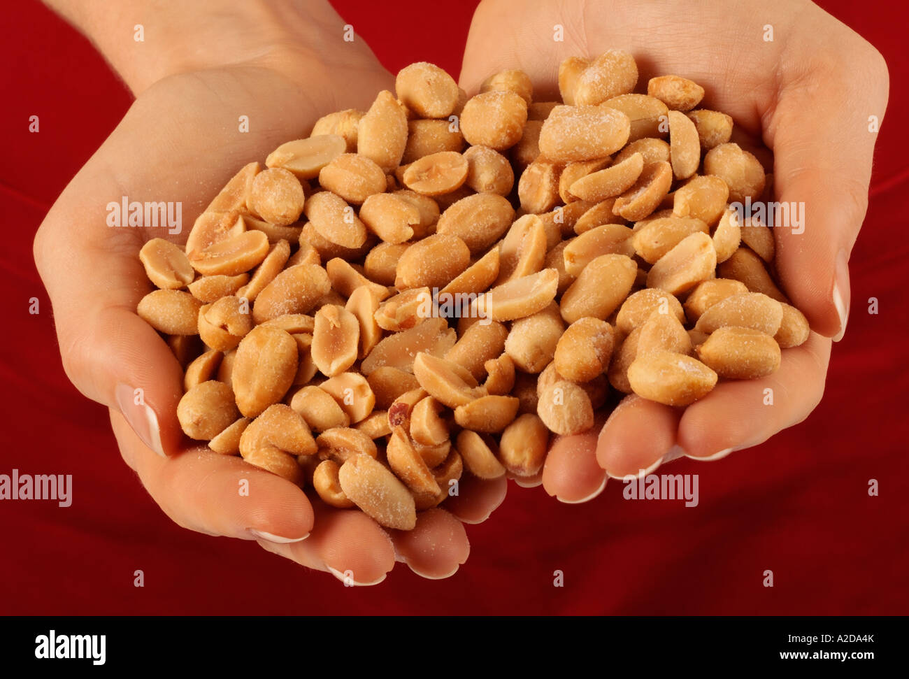 HANDFUL OF PEANUTS Stock Photo Alamy