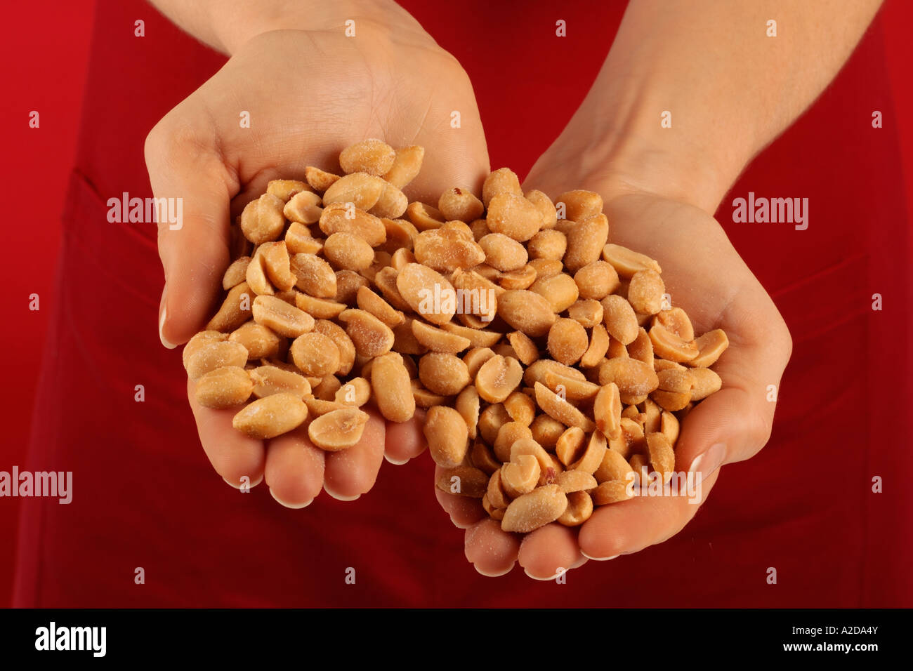 HANDFUL OF PEANUTS Stock Photo Alamy