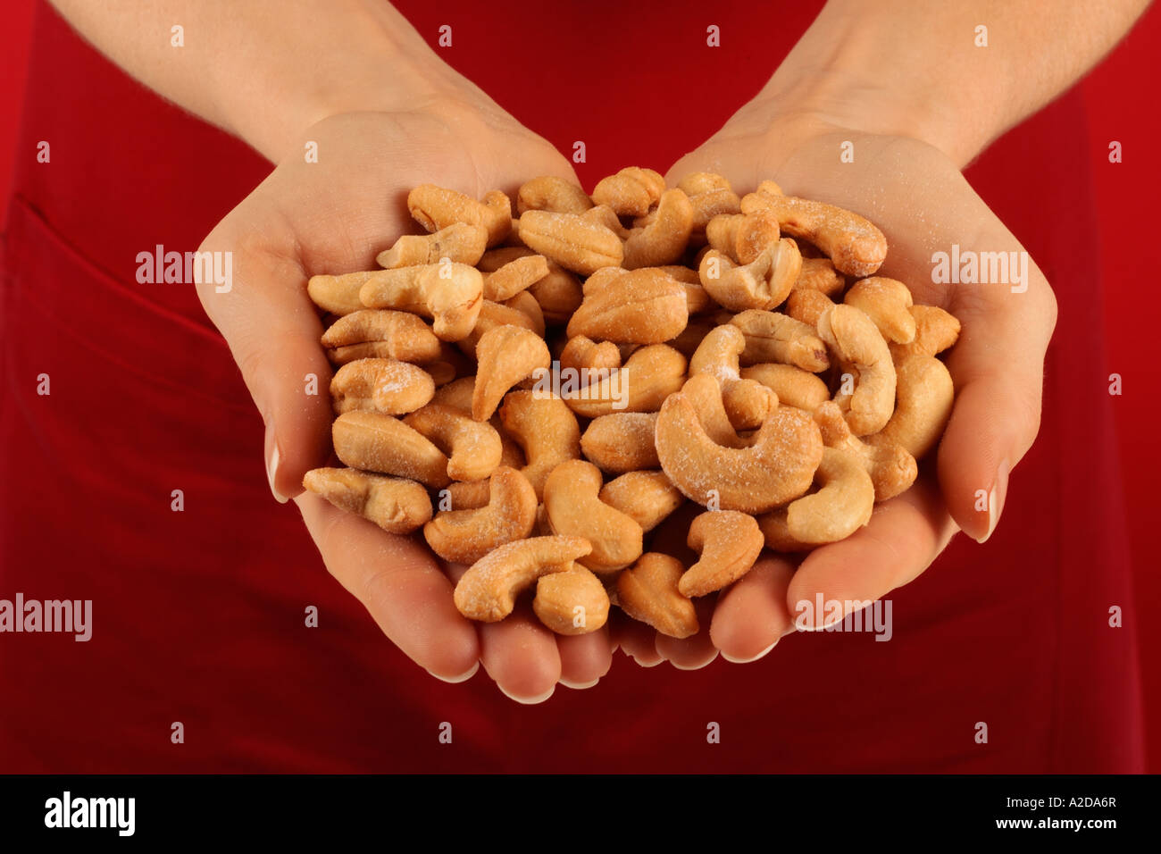HANDFUL OF ROASTED CASHEW NUTS Stock Photo