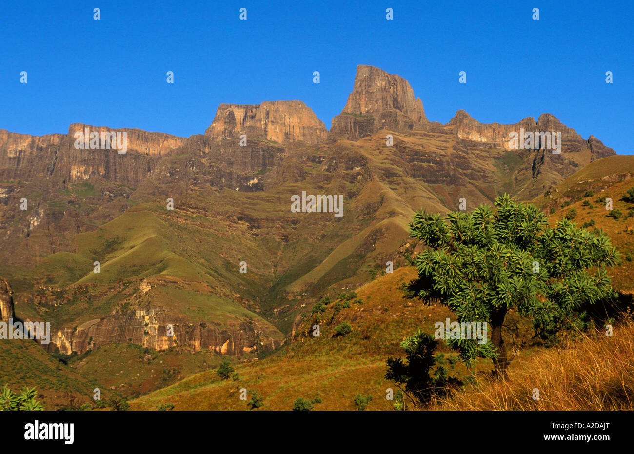 the amphitheatre wall Royal Natal National Park Ukhahlamba Drakensberg ...