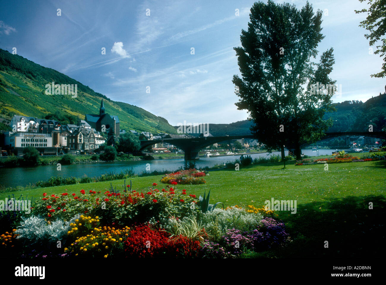 Cochem village and bridge with terraced vineyards across from Mosel ...