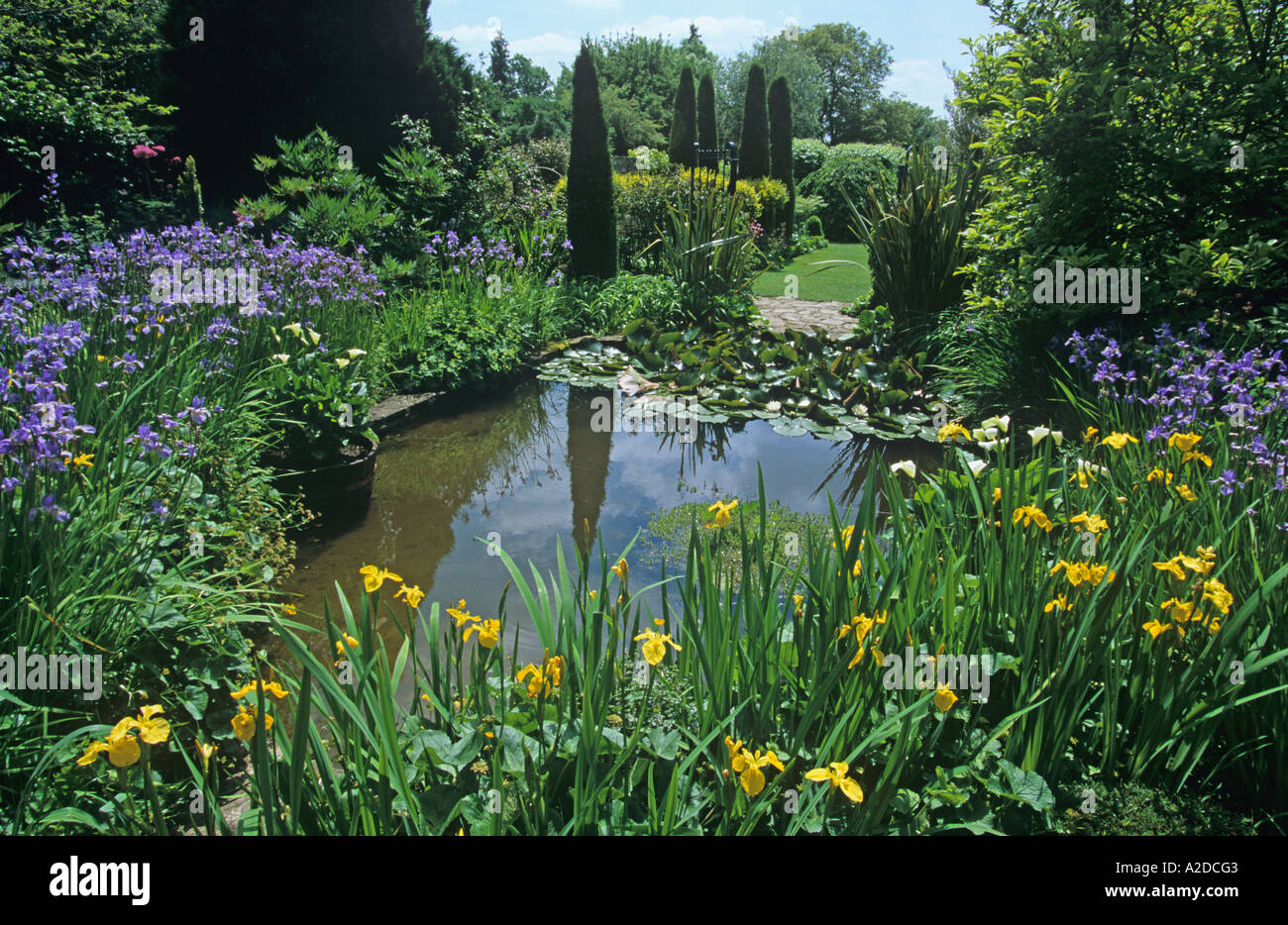 Lilly Pond Barnsley House Garden Gloucestershire Stock Photo