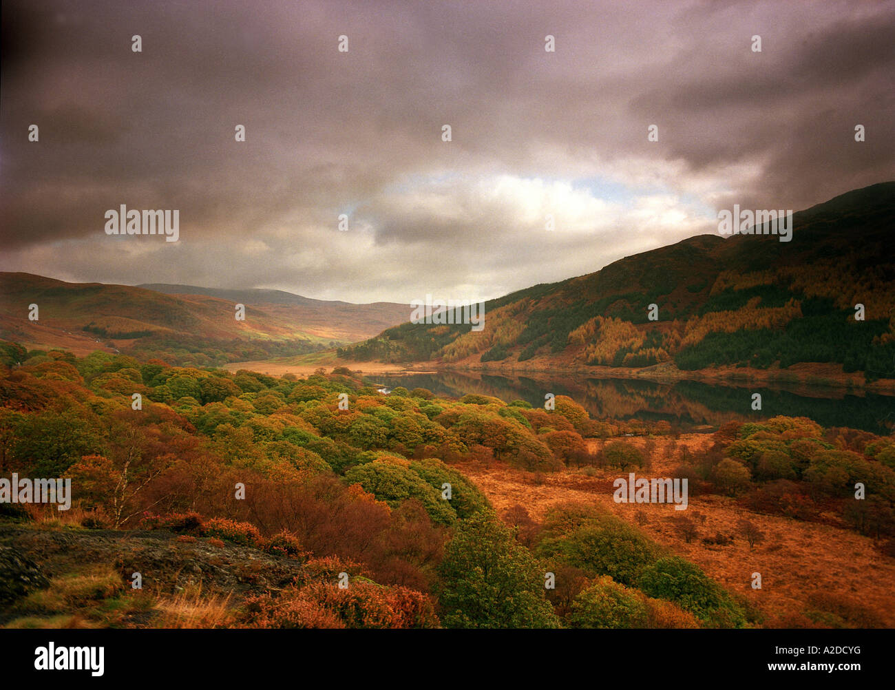 Autumn in Glen Trool, Galloway, south west Scotland Stock Photo