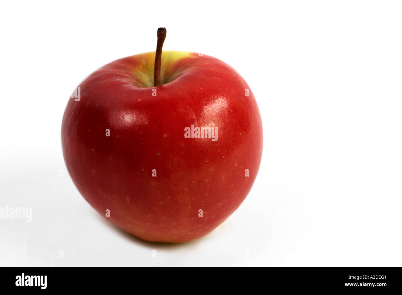 Single Red Kanzi Apple on white background Stock Photo Alamy