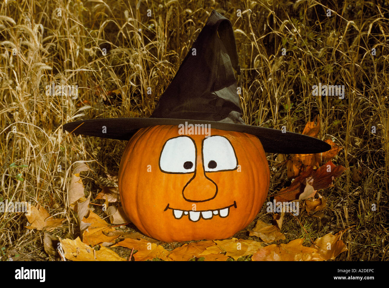Silly Halloween pumpkin dressed as witch Stock Photo - Alamy