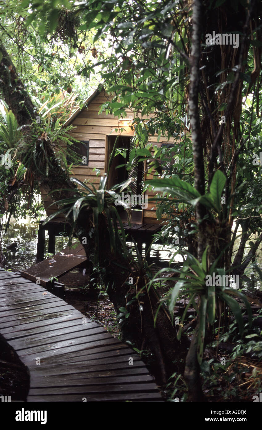 Hut on Stilts, Rio Dulce, Belize Stock Photo