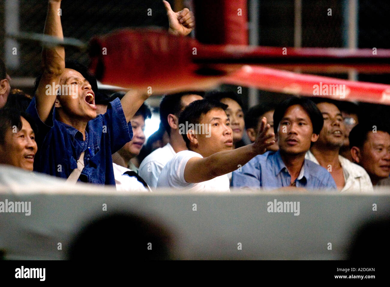 Excited crowd at Thai boxing. Stock Photo