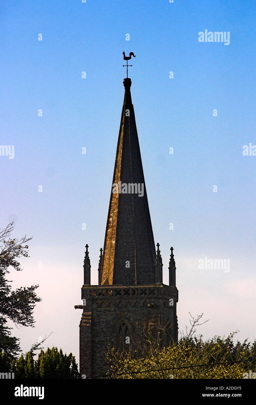 The Spire of St Andrew s Church Trent Dorset Stock Photo