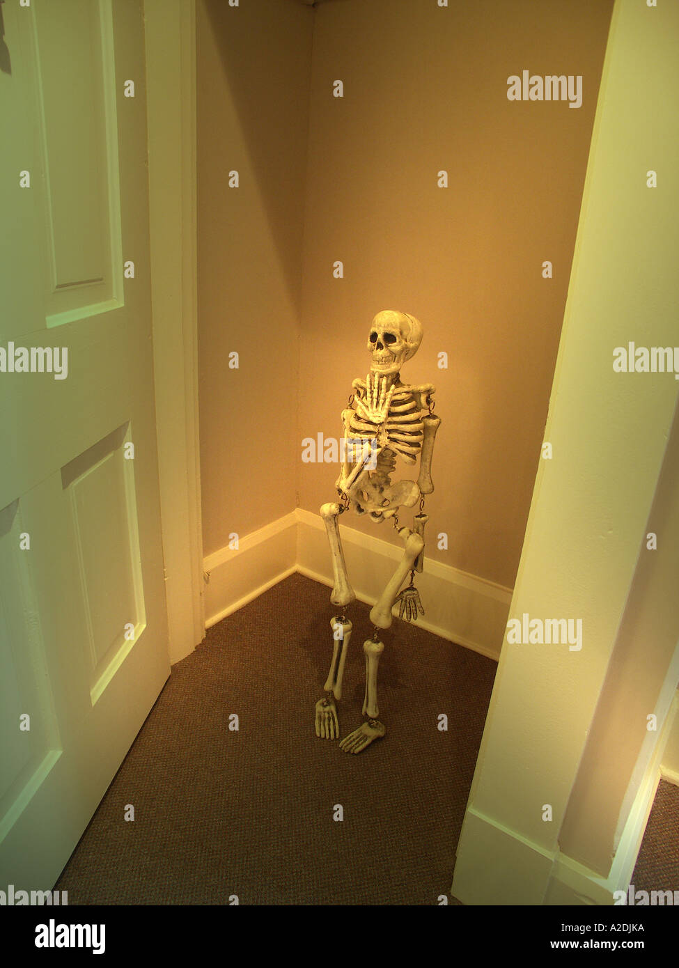 Skeleton in the Closet Stock Photo