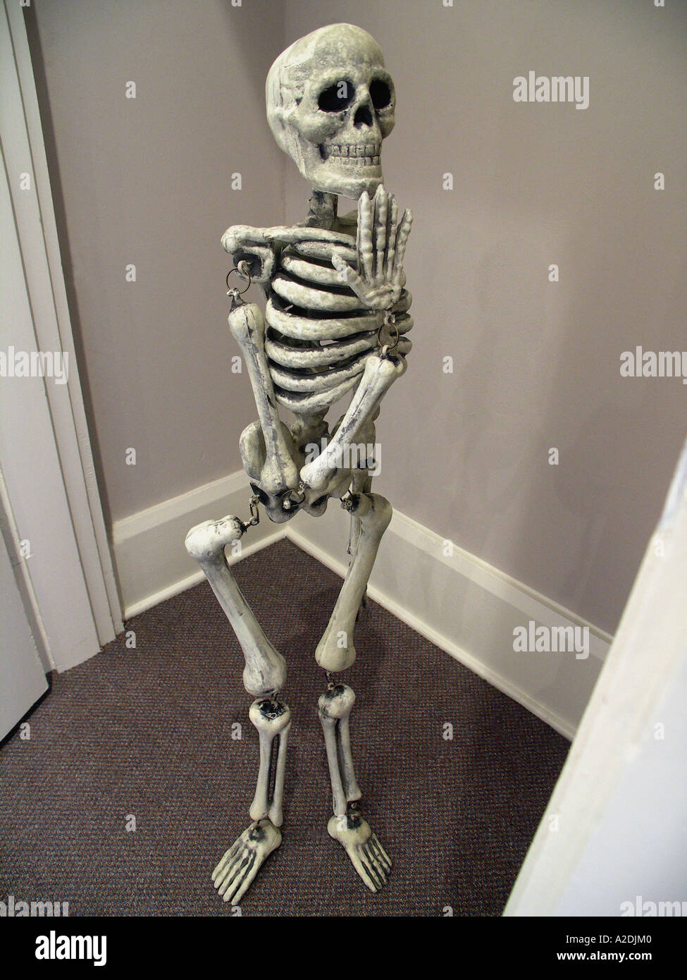 Skeleton in the Closet Stock Photo Alamy
