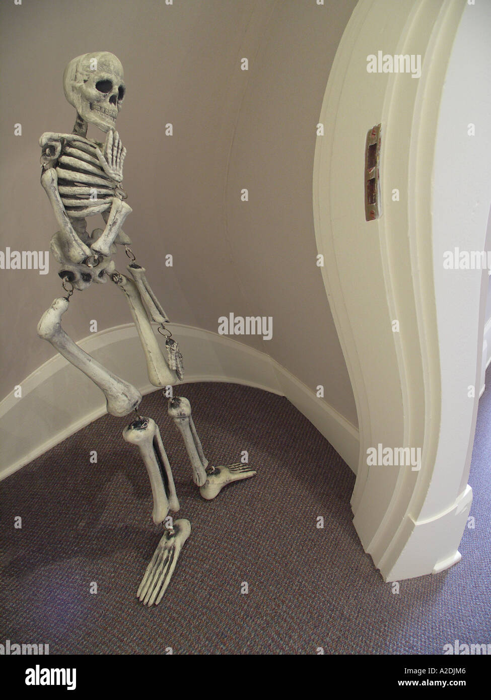 Skeleton in the Closet Stock Photo Alamy