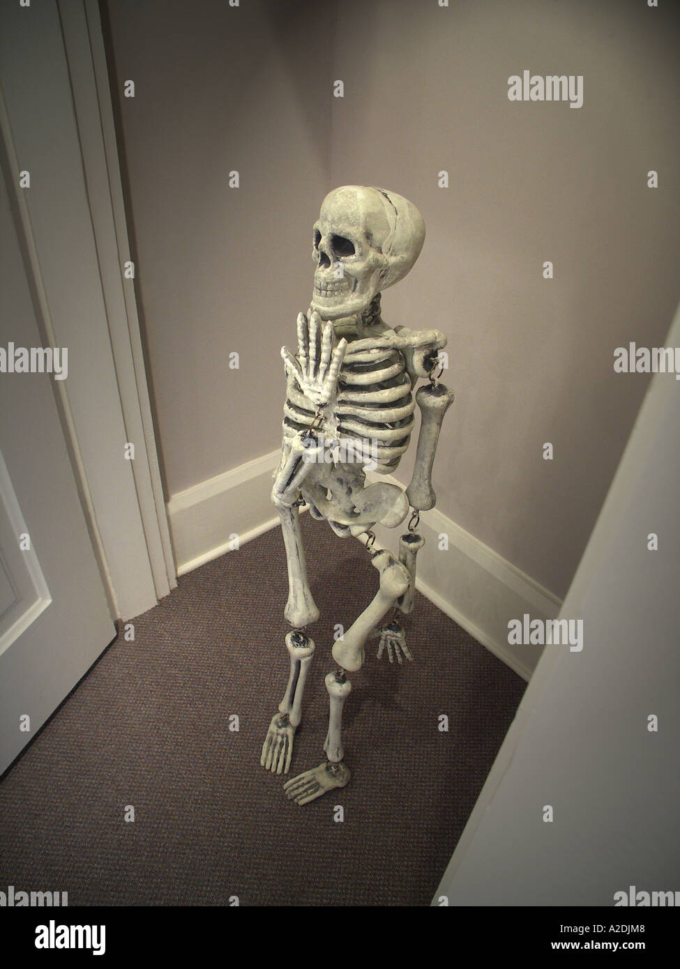 Skeleton in the Closet Stock Photo Alamy