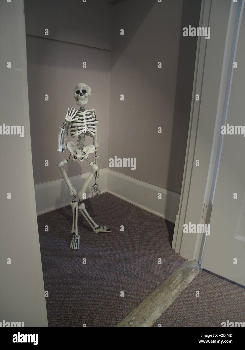 Skeleton in the Closet Stock Photo Alamy