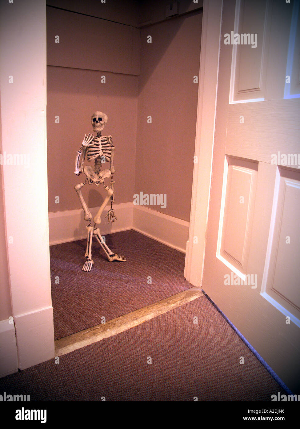 Skeleton in the Closet Stock Photo Alamy
