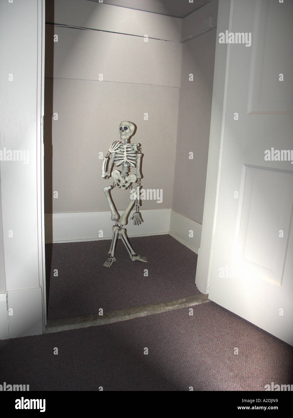 Skeleton In Closet Stock Photos & Skeleton In Closet Stock Images Alamy