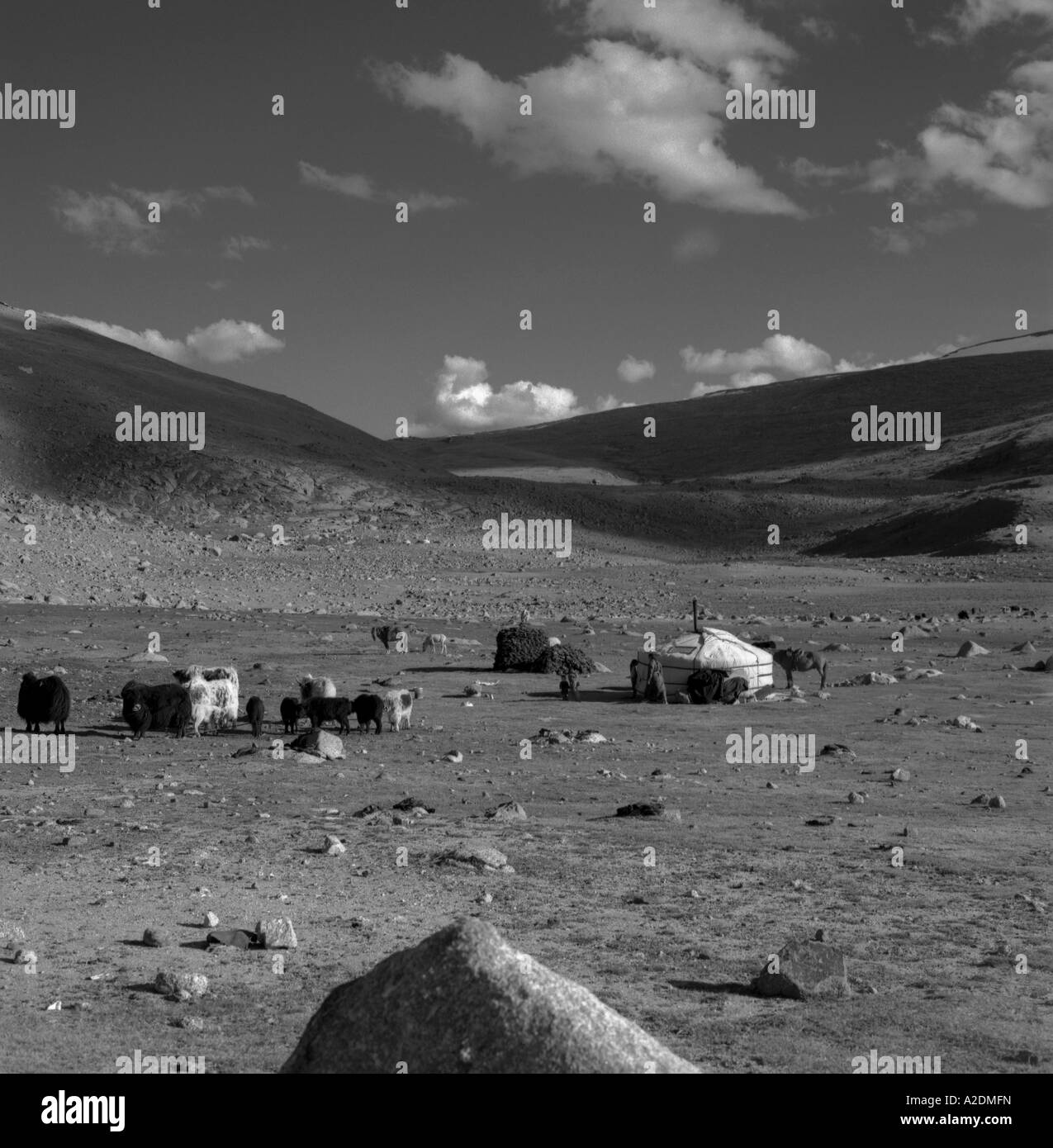 landscape with ger mongolia Stock Photo - Alamy
