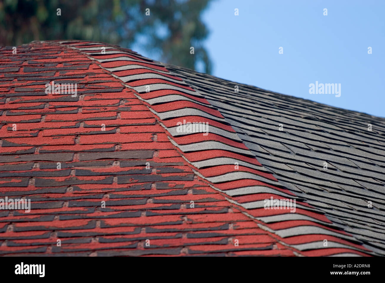 Weather worn asphalt shingle roofing Stock Photo Alamy