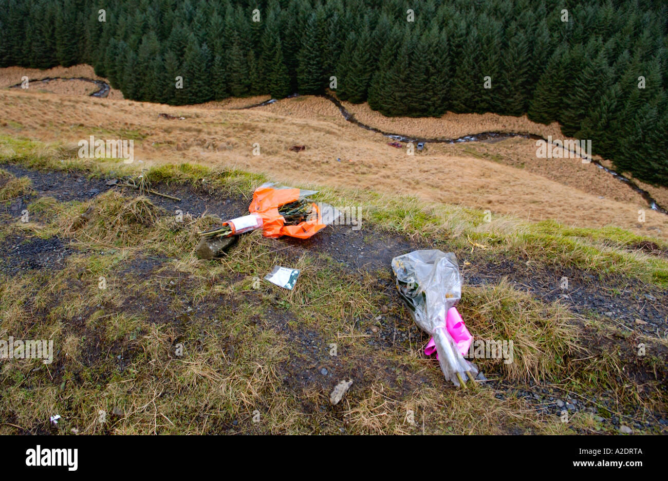 Roadside memorial floral tribute at accident scene on A4107 near