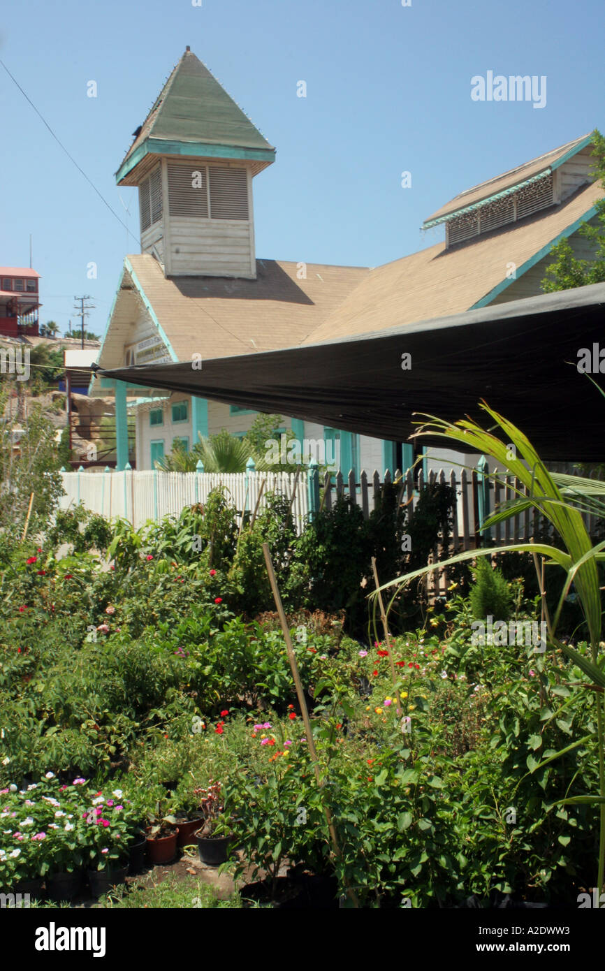 A typical town house and garden, Santa Rosalia, Baja California Mexico