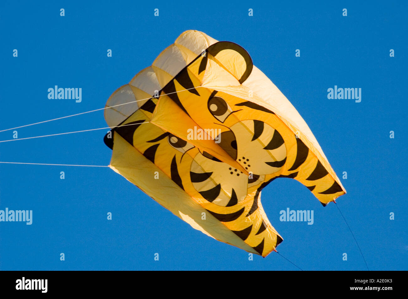 Chinese New Year Celebration York UK 2006 Stock Photo Alamy