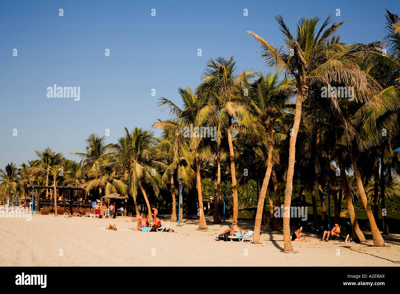 Dubai Jumeirah beach park plam trees Stock Photo