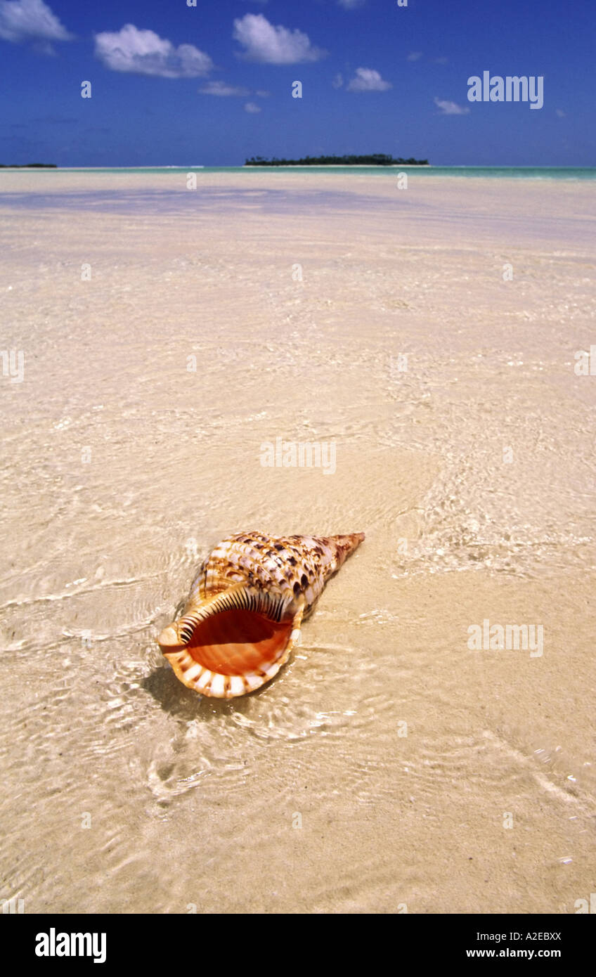 South pacific Cook Islands Aitutaki lagoon One foot Island dream beach cristal clear water giant triton Stock Photo