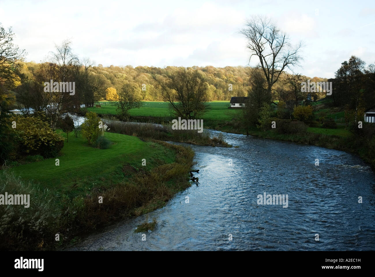The River Calder at Whalley swollen by heavy rains. England Stock Photo