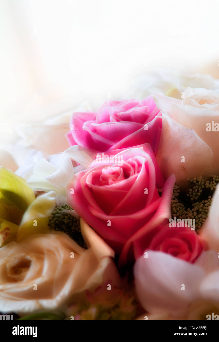 Artistic Treatment Of A Rose Flower Bouquet Arrangement Stock Photo