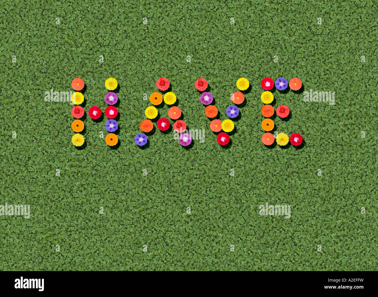 Have having Stock Photo