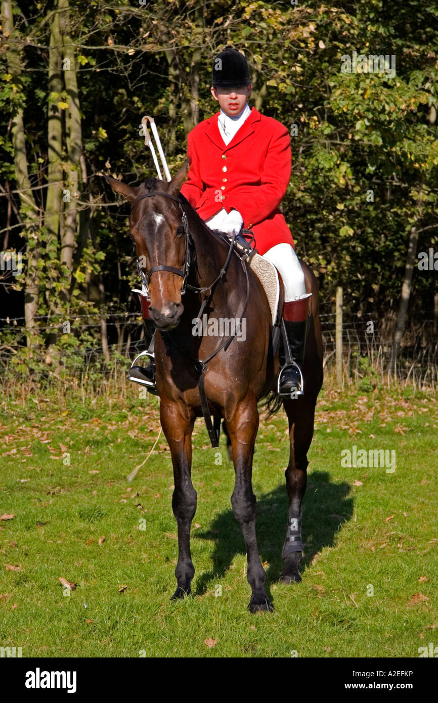 Whipper In of the Suffolk Hunt Suffolk England UK Stock Photo
