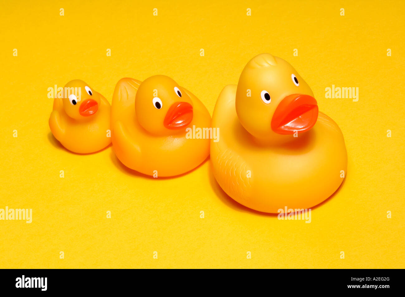3 yellow rubber ducks Stock Photo