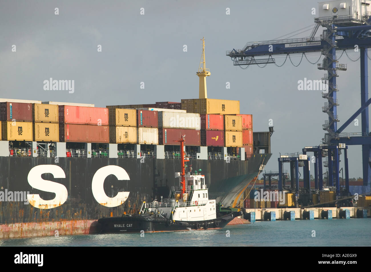 BAHAMAS, Grand Bahama Island, Freeport Port of Freeport Container