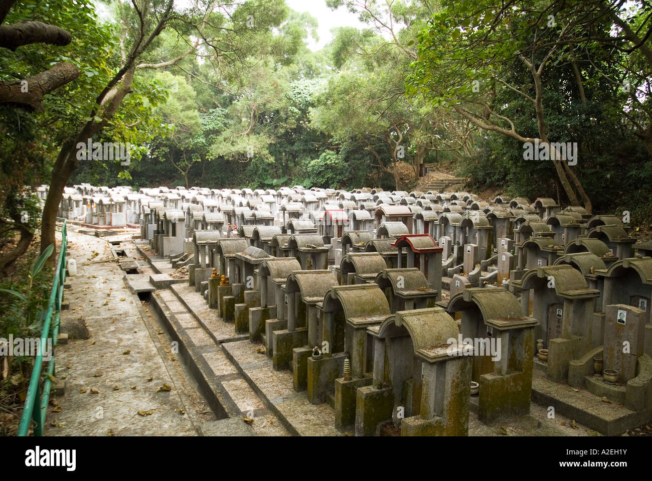 dh Chinese graveyard CHEUNG CHAU HONG KONG Rows of gravestones in woodland cemetery tombstone Stock Photo