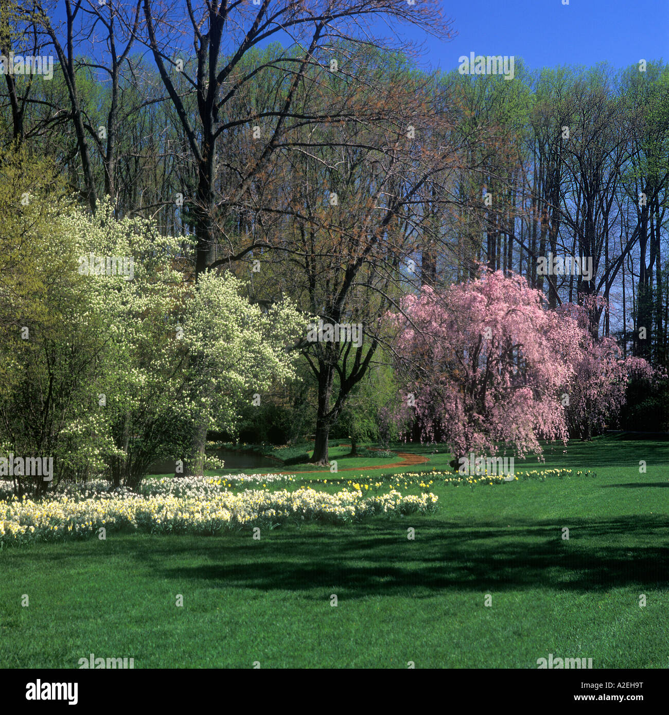 Longwood Gardens In Spring, Pretty Spring Scene, Kennett Square PA USA Stock Photo