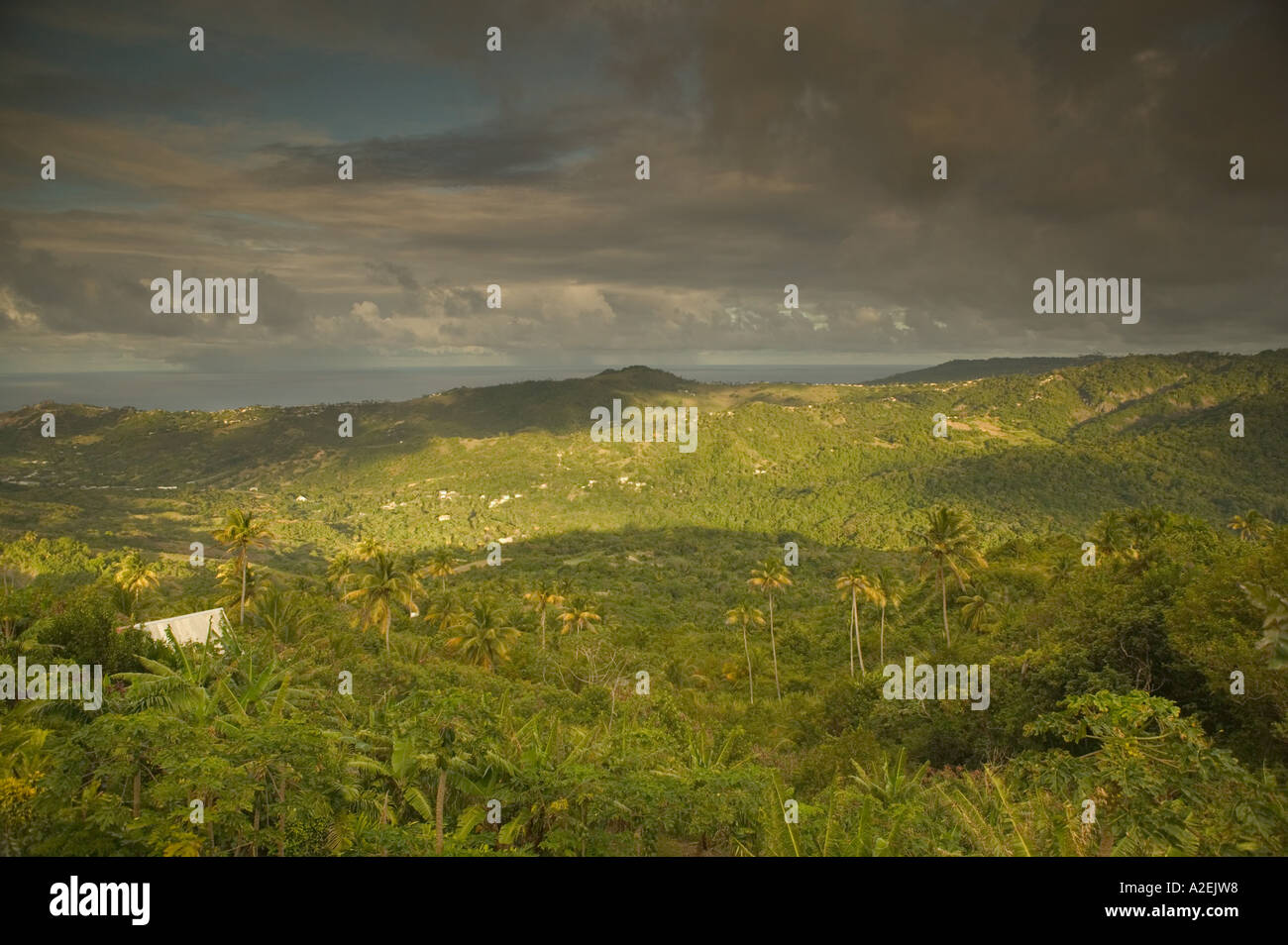 BARBADOS, Inland, Mount Hillaby Late Afternoon from Barbados' Stock