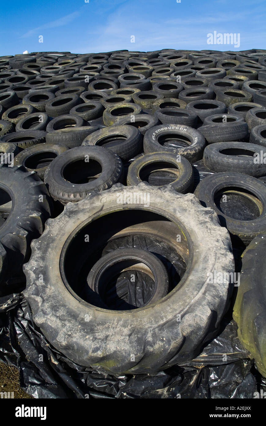 dh Silage pit SILAGE UK Tractor and car tyres weighing down black plastic covering on silage pit farm Stock Photo