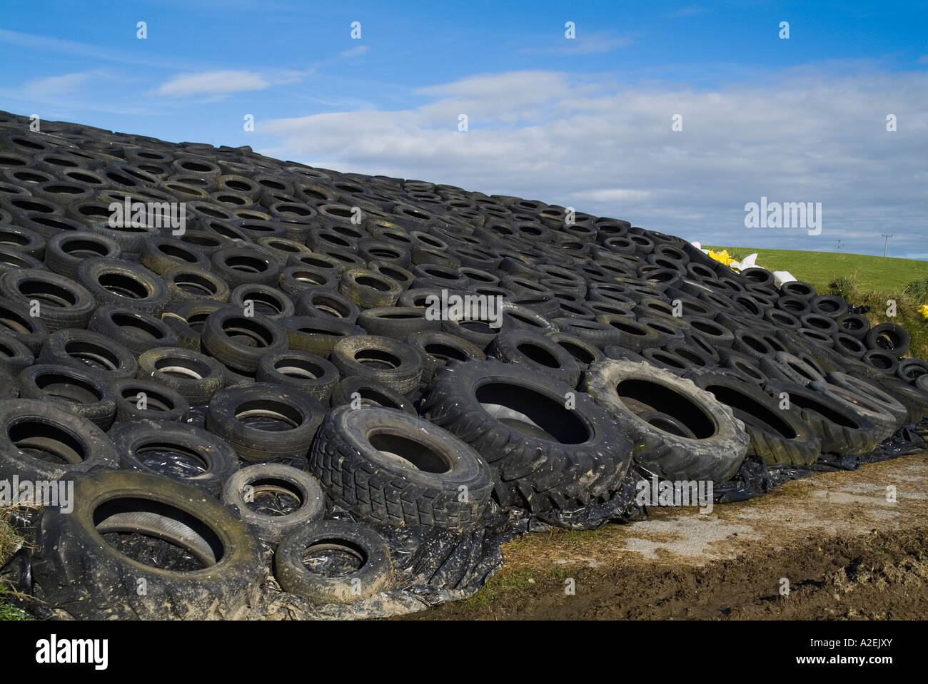 dh Silage pit SILAGE UK Tractor and car tyres weighing down covered black plastic covering on silage pit farming Stock Photo