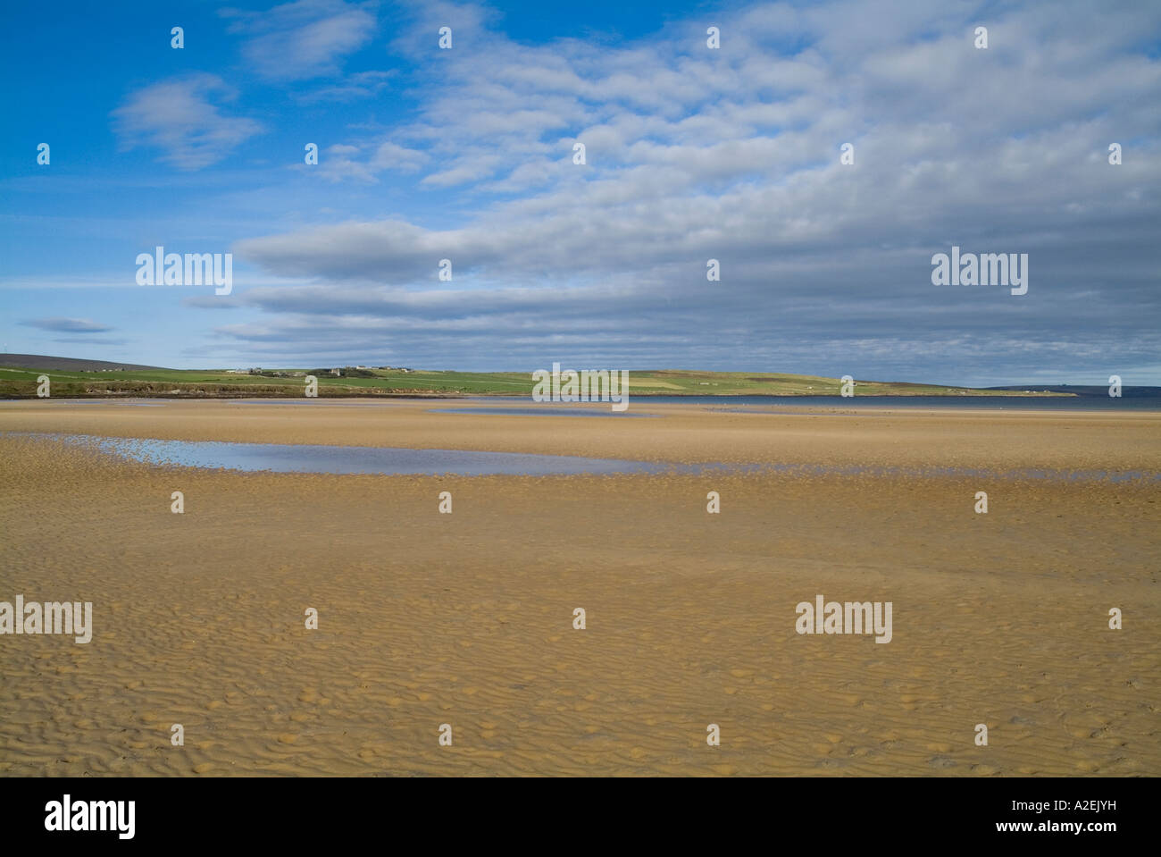 dh Swanbister ORPHIR ORKNEY Sandy beach at low tide and Scapa Flow coast Stock Photo
