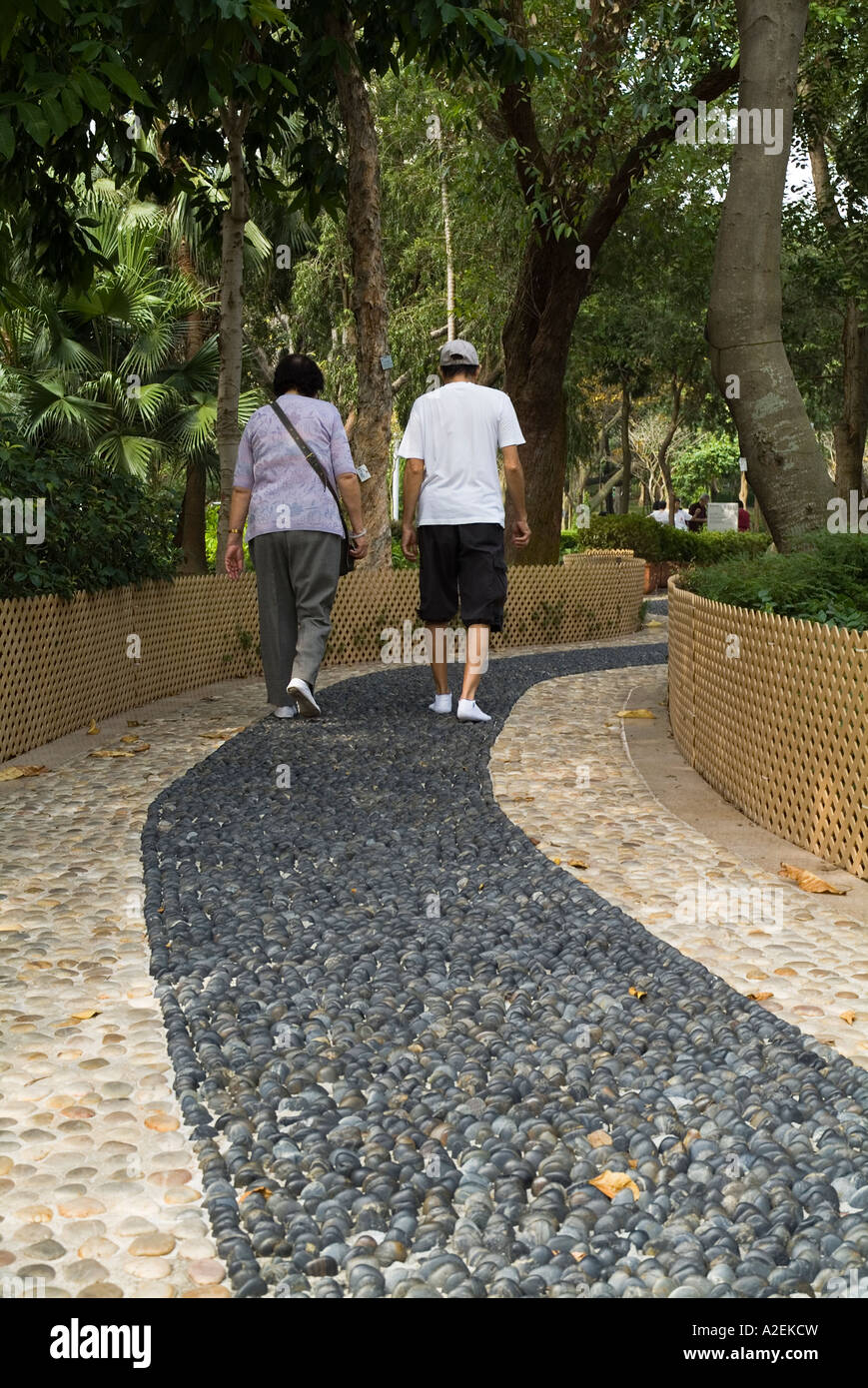 dh Victoria Park CAUSEWAY BAY HONG KONG Elderly people china exercising